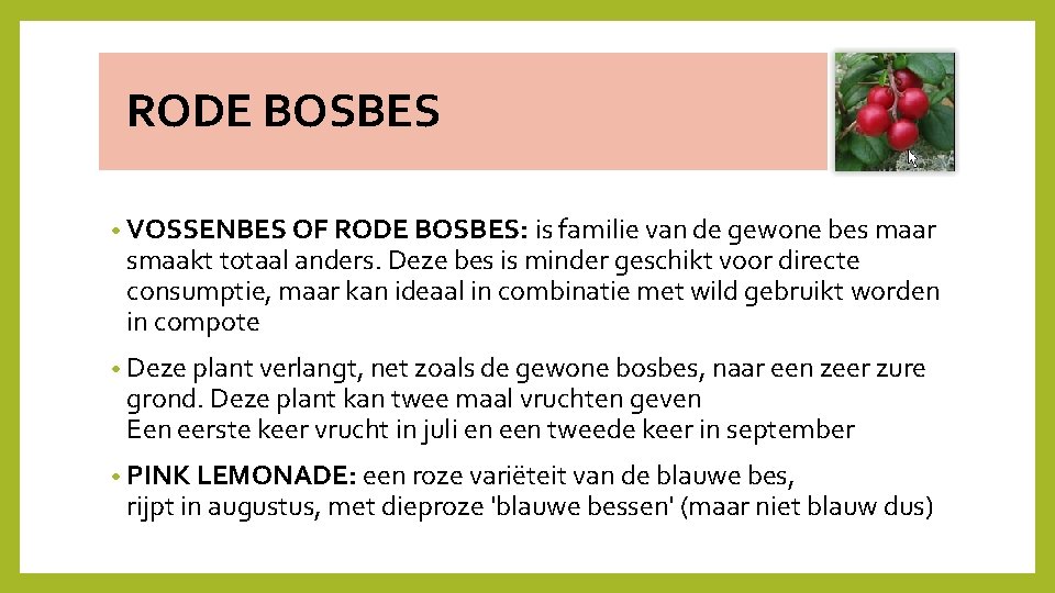  RODE BOSBES • VOSSENBES OF RODE BOSBES: is familie van de gewone bes
