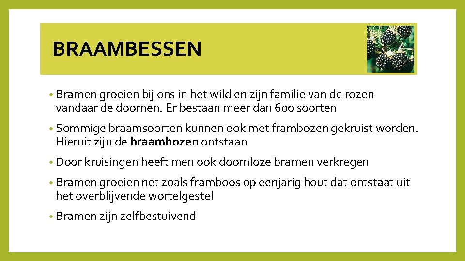  BRAAMBESSEN • Bramen groeien bij ons in het wild en zijn familie van