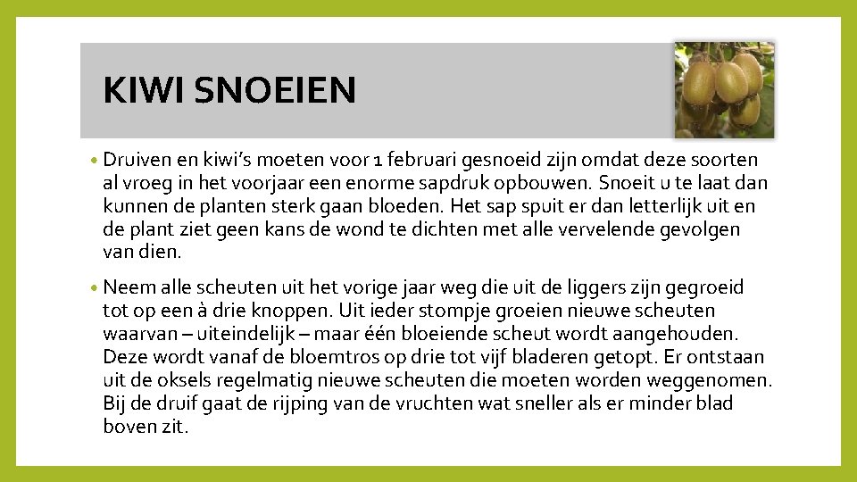  KIWI SNOEIEN • Druiven en kiwi’s moeten voor 1 februari gesnoeid zijn omdat