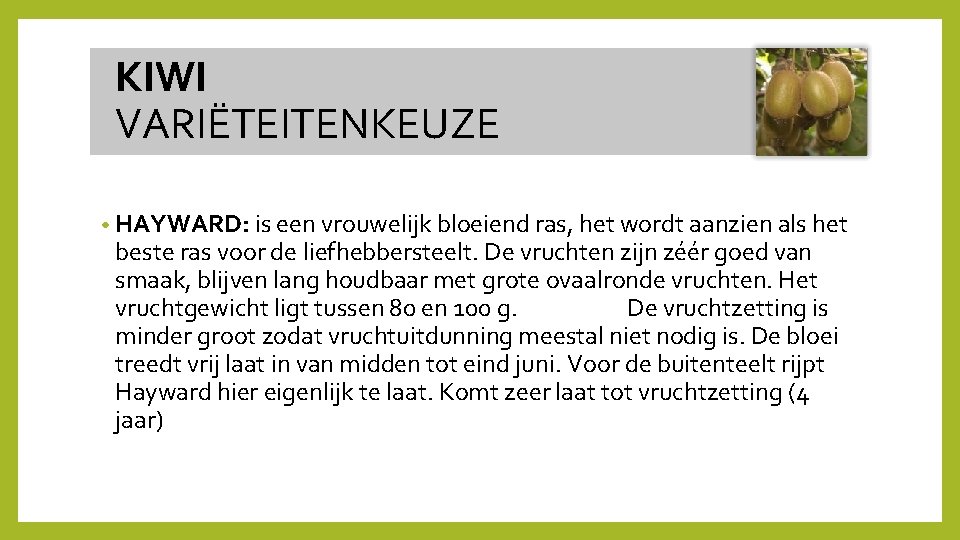  KIWI VARIËTEITENKEUZE • HAYWARD: is een vrouwelijk bloeiend ras, het wordt aanzien als