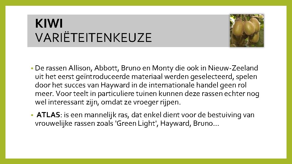  KIWI VARIËTEITENKEUZE • De rassen Allison, Abbott, Bruno en Monty die ook in