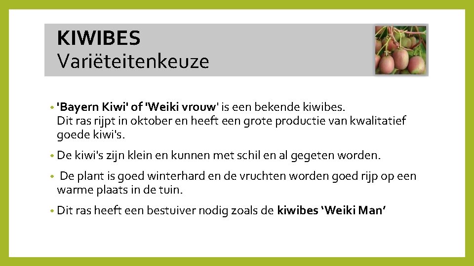  KIWIBES Variëteitenkeuze • 'Bayern Kiwi' of 'Weiki vrouw' is een bekende kiwibes. Dit