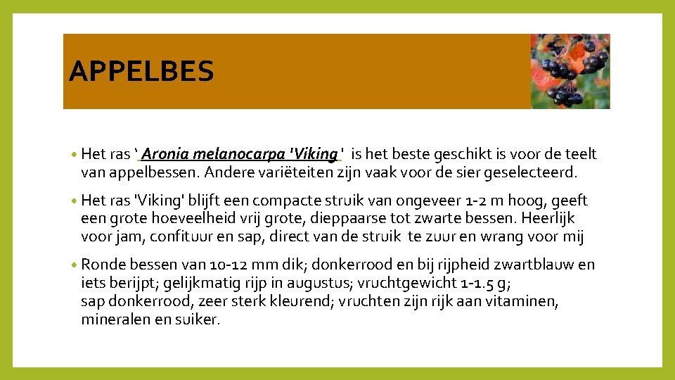 APPELBES • Het ras ‘ Aronia melanocarpa 'Viking ' is het beste geschikt is