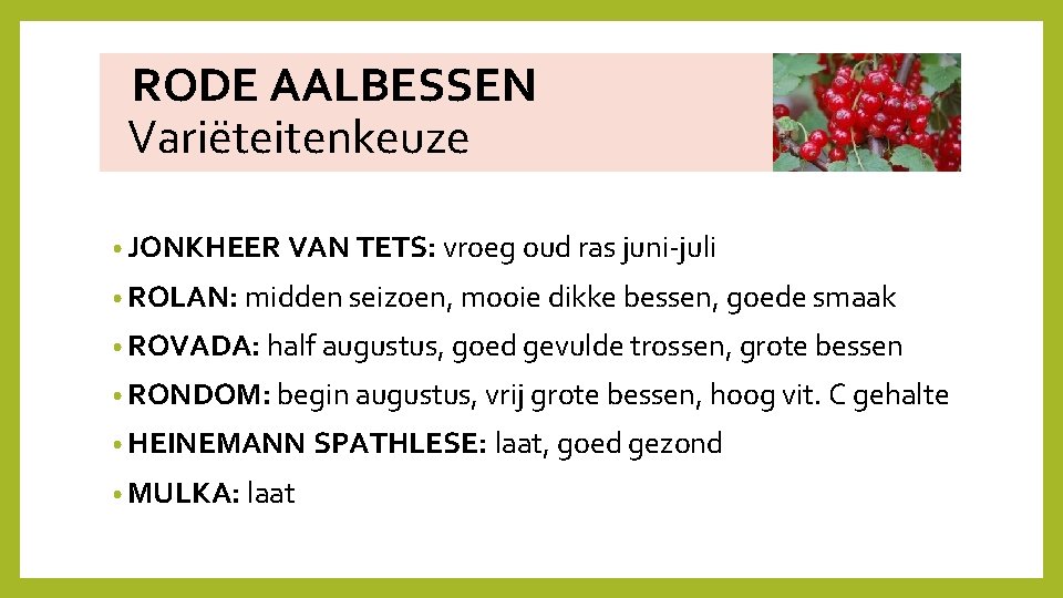  RODE AALBESSEN Variëteitenkeuze • JONKHEER VAN TETS: vroeg oud ras juni‐juli • ROLAN:
