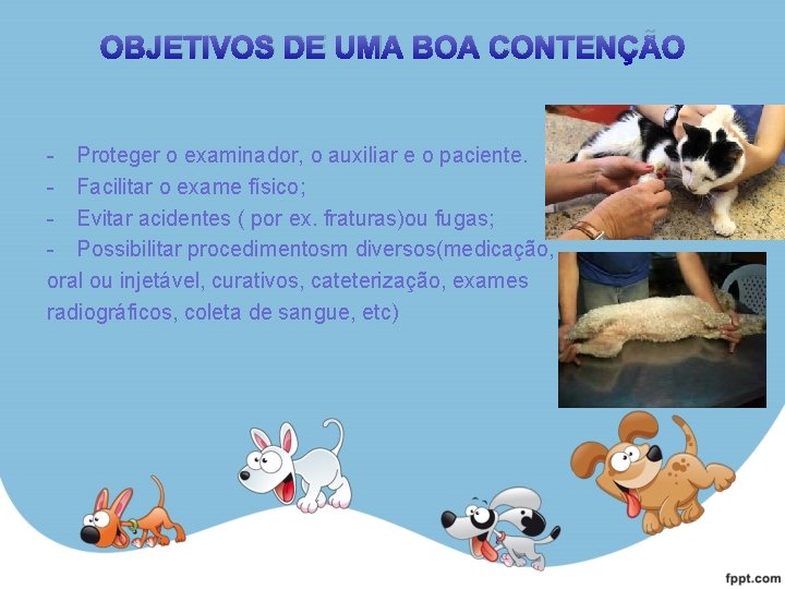 OBJETIVOS DE UMA BOA CONTENÇÃO - Proteger o examinador, o auxiliar e o paciente.