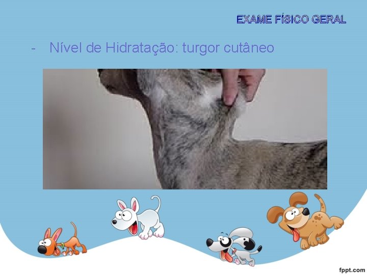 EXAME FÍSICO GERAL - Nível de Hidratação: turgor cutâneo 