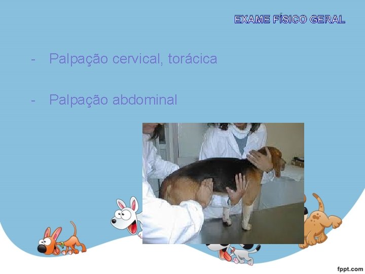 EXAME FÍSICO GERAL - Palpação cervical, torácica - Palpação abdominal 