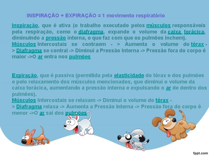 INSPIRAÇÃO + EXPIRAÇÃO = 1 movimento respiratório Inspiração, que é ativa (o trabalho executado