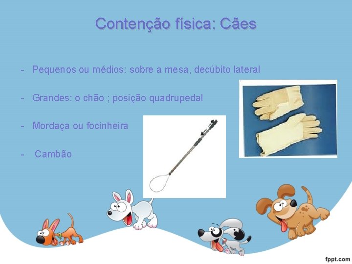 Contenção física: Cães - Pequenos ou médios: sobre a mesa, decúbito lateral - Grandes: