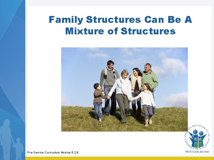 Family Structures Can Be A Mixture of Structures Pre-Service Curriculum Module 5. 2. 9