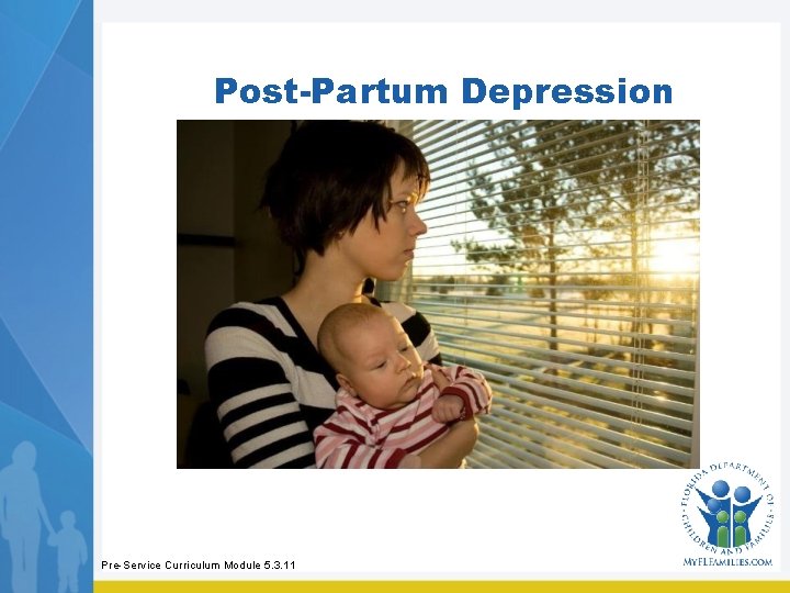 Post-Partum Depression Pre-Service Curriculum Module 5. 3. 11 