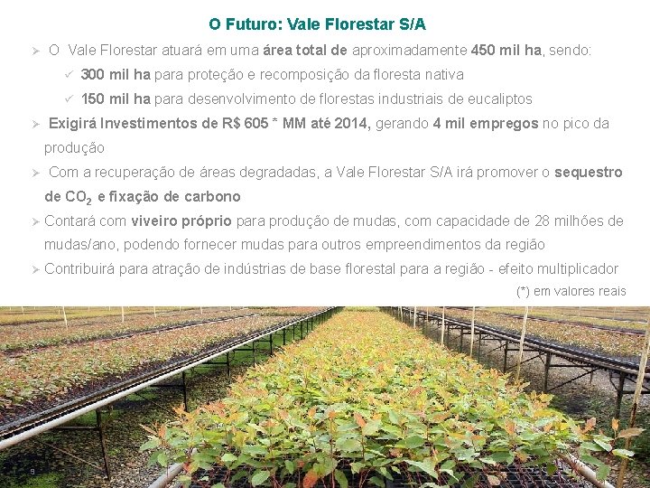 O Futuro: Vale Florestar S/A Ø Ø O Vale Florestar atuará em uma área