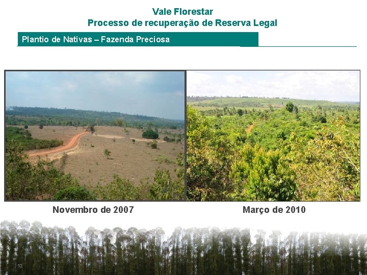 Vale Florestar Processo de recuperação de Reserva Legal Plantio de Nativas – Fazenda Preciosa