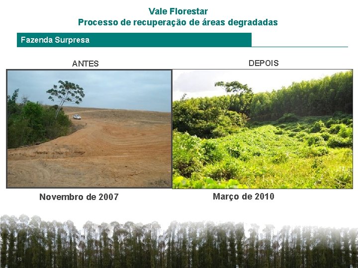 Vale Florestar Processo de recuperação de áreas degradadas Fazenda Surpresa ANTES Novembro de 2007