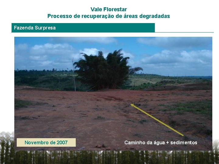 Vale Florestar Processo de recuperação de áreas degradadas Fazenda Surpresa Novembro de 2007 14