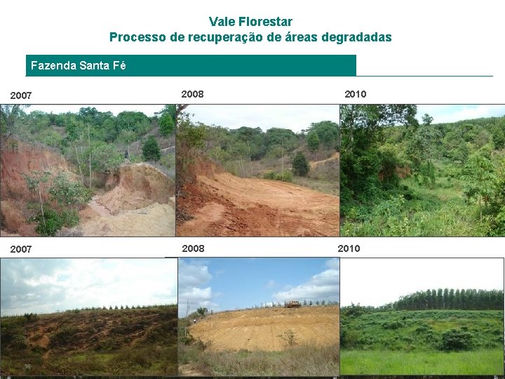 Vale Florestar Processo de recuperação de áreas degradadas Fazenda Santa Fé 2007 2008 16
