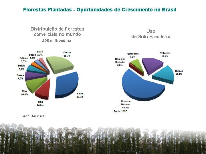 Florestas Plantadas - Oportunidades de Crescimento no Brasil Distribuição de florestas comerciais no mundo