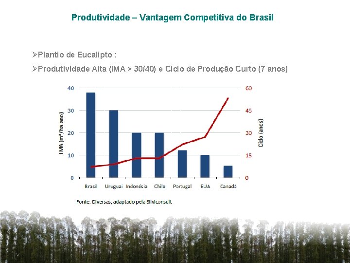 Produtividade – Vantagem Competitiva do Brasil ØPlantio de Eucalipto : ØProdutividade Alta (IMA >