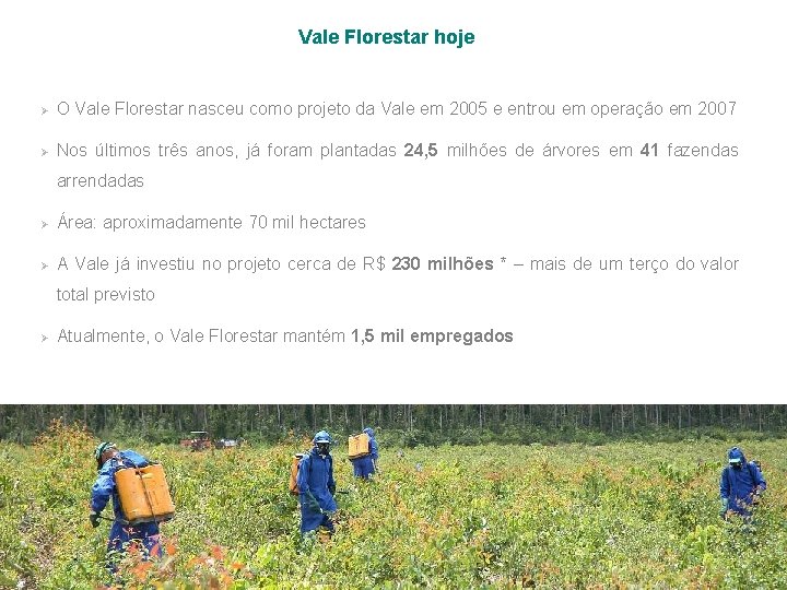 Vale Florestar hoje Ø O Vale Florestar nasceu como projeto da Vale em 2005
