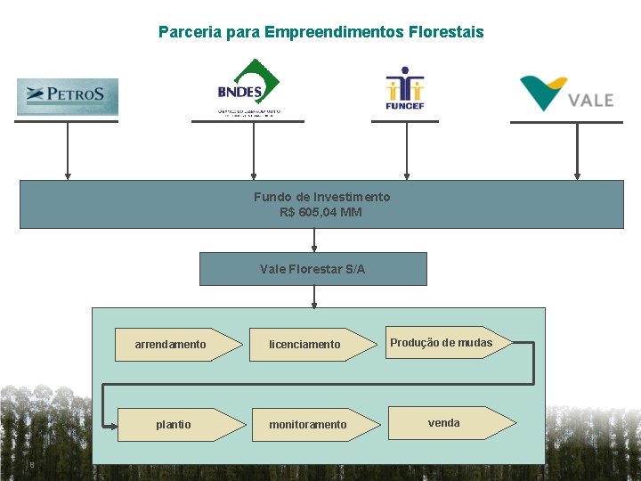 Parceria para Empreendimentos Florestais Fundo de Investimento R$ 605, 04 MM Vale Florestar S/A