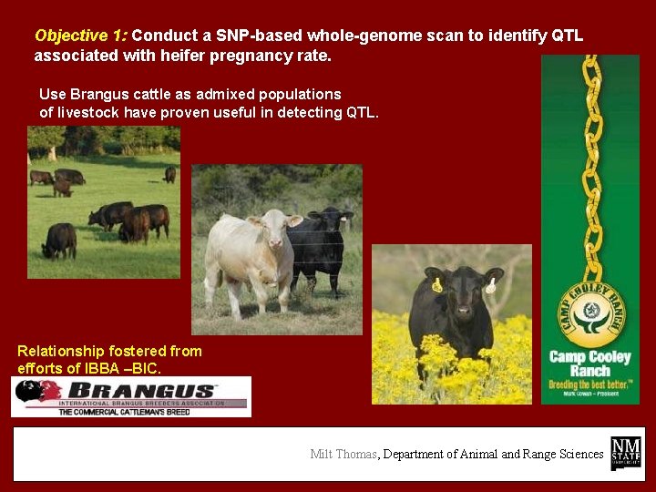Objective 1: Conduct a SNP-based whole-genome scan to identify QTL associated with heifer pregnancy
