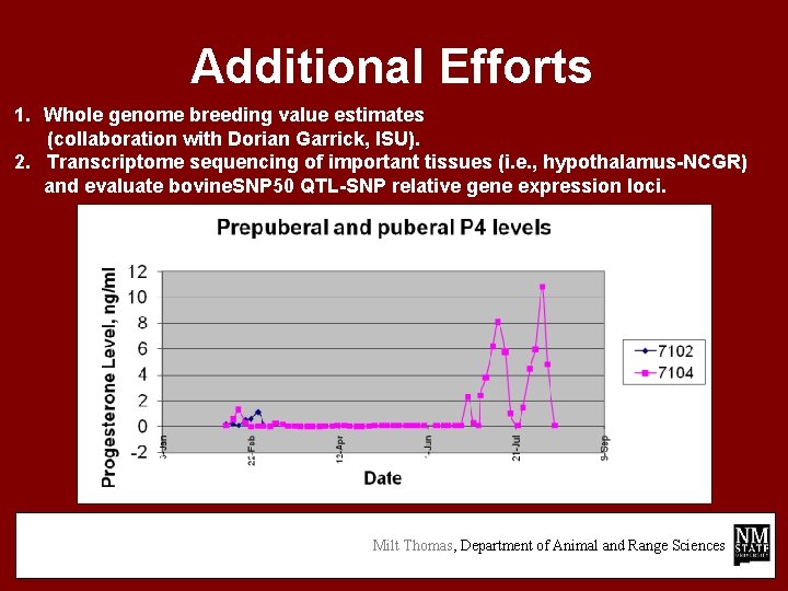 Additional Efforts 1. Whole genome breeding value estimates (collaboration with Dorian Garrick, ISU). 2.