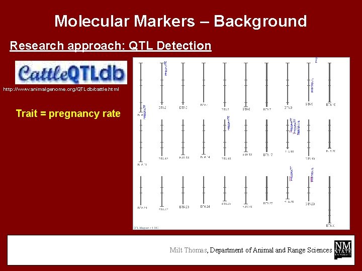 Molecular Markers – Background Research approach: QTL Detection http: //www. animalgenome. org/QTLdb/cattle. html Trait