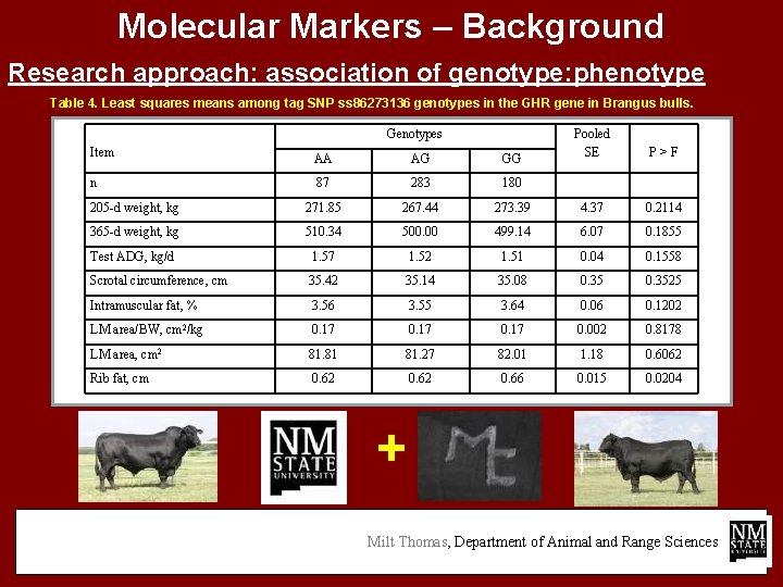 Molecular Markers – Background Research approach: association of genotype: phenotype Table 4. Least squares