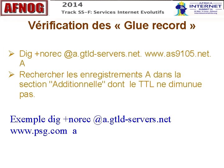 Vérification des « Glue record » Dig +norec @a. gtld-servers. net. www. as 9105.