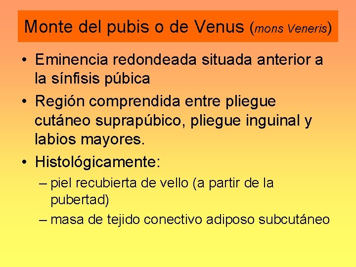 Monte del pubis o de Venus (mons Veneris) • Eminencia redondeada situada anterior a