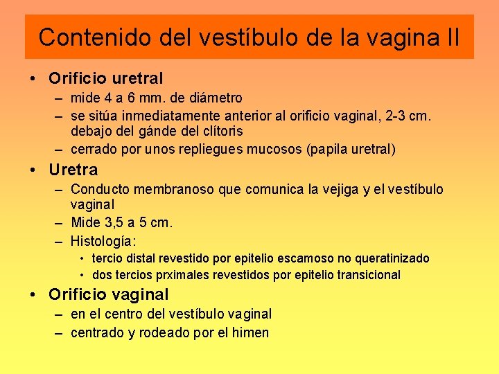 Contenido del vestíbulo de la vagina II • Orificio uretral – mide 4 a