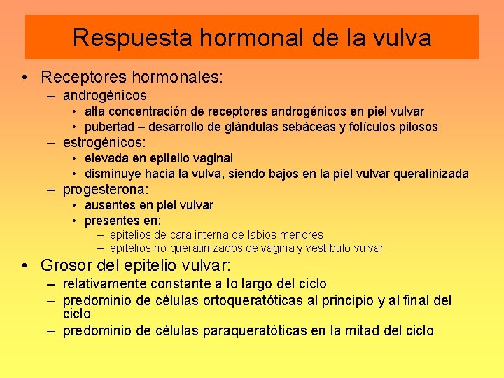 Respuesta hormonal de la vulva • Receptores hormonales: – androgénicos • alta concentración de