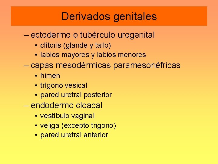 Derivados genitales – ectodermo o tubérculo urogenital • clítoris (glande y tallo) • labios