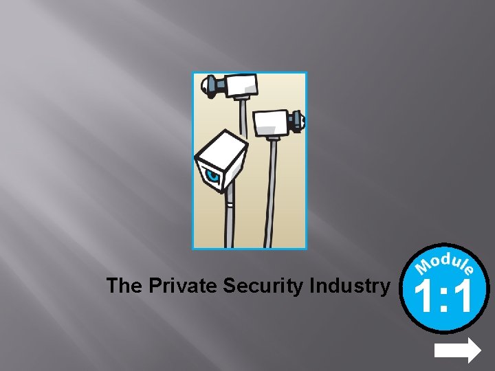 The Private Security Industry 1: 1 NEXT 