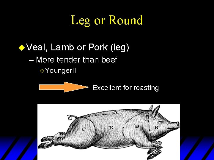 Leg or Round u Veal, Lamb or Pork (leg) – More tender than beef