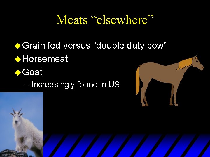 Meats “elsewhere” u Grain fed versus “double duty cow” u Horsemeat u Goat –