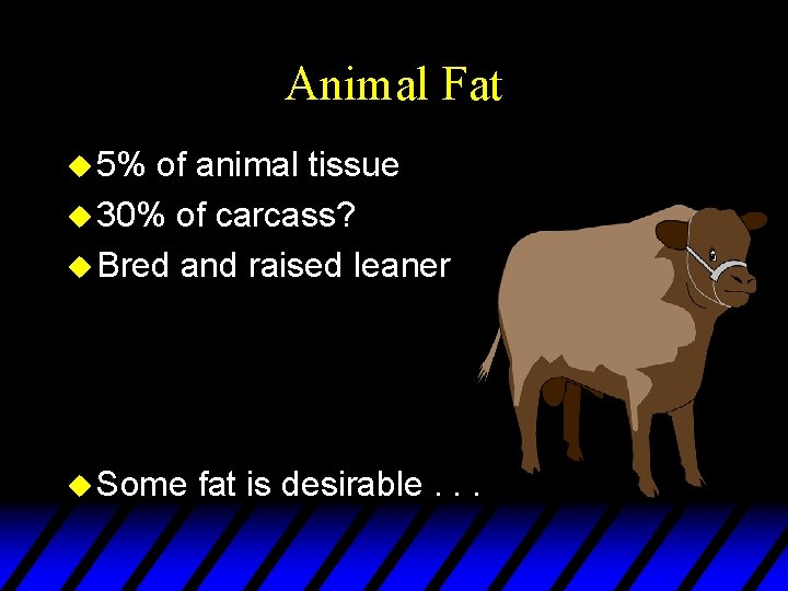 Animal Fat u 5% of animal tissue u 30% of carcass? u Bred and