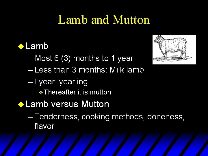 Lamb and Mutton u Lamb – Most 6 (3) months to 1 year –