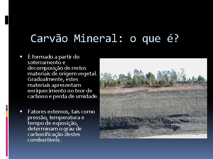 Carvão Mineral: o que é? É formado a partir do soterramento e decomposição de