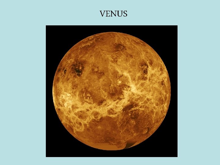 VENUS 