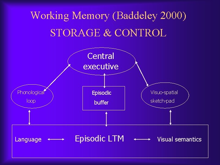 Working Memory (Baddeley 2000) STORAGE & CONTROL Central executive Phonological Episodic loop buffer Language Working Memory (Baddeley 2000) STORAGE & CONTROL Central executive Phonological Episodic loop buffer Language