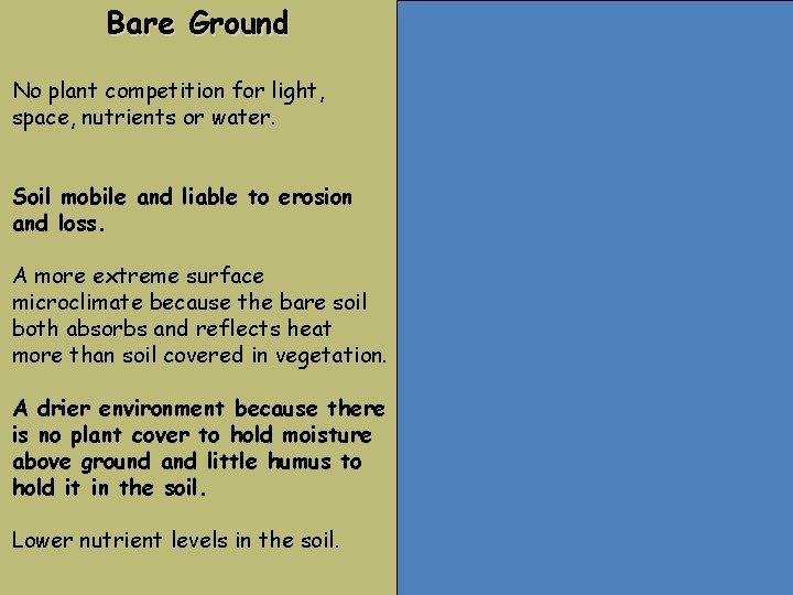Bare Ground No plant competition for light, space, nutrients or water. Soil mobile and Bare Ground No plant competition for light, space, nutrients or water. Soil mobile and