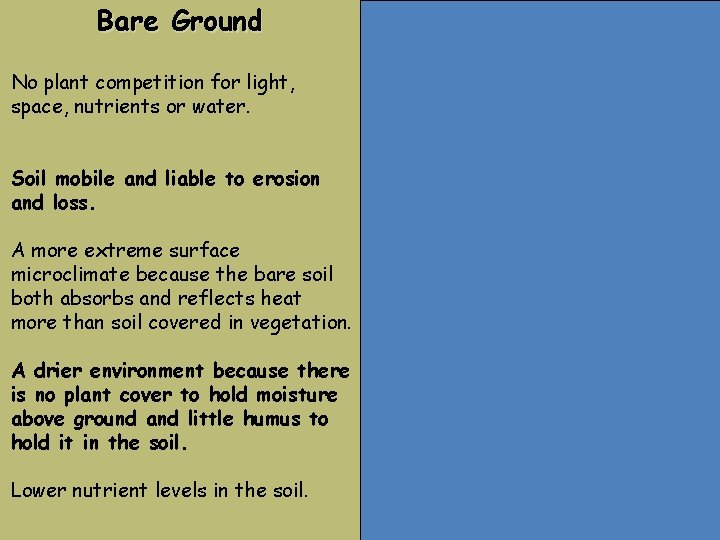 Bare Ground No plant competition for light, space, nutrients or water. Soil mobile and