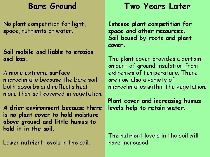 Bare Ground No plant competition for light, space, nutrients or water. Soil mobile and Bare Ground No plant competition for light, space, nutrients or water. Soil mobile and