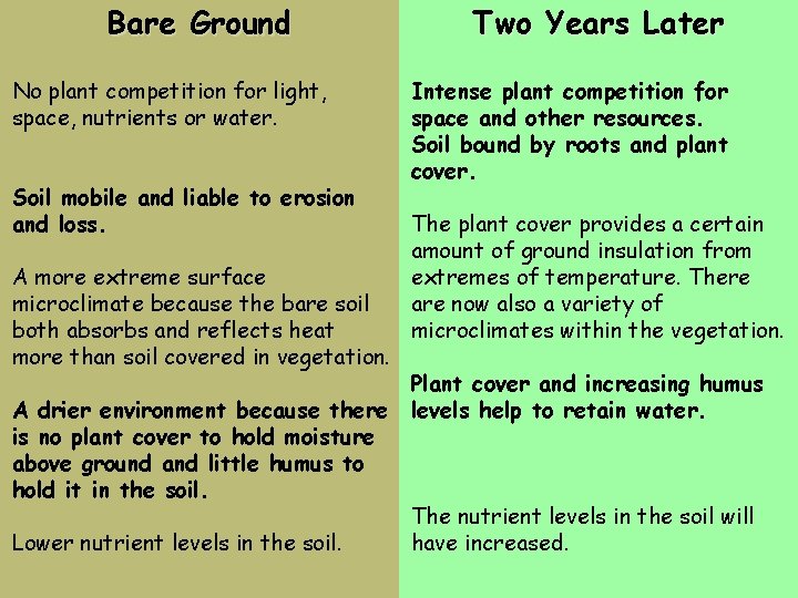 Bare Ground No plant competition for light, space, nutrients or water. Soil mobile and