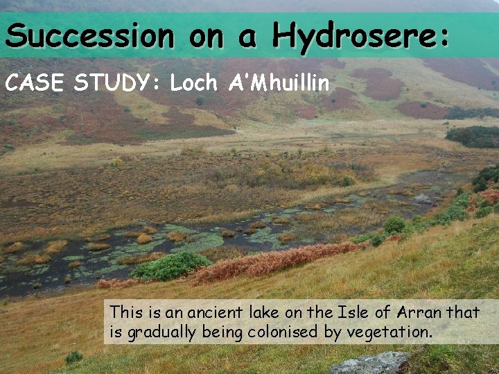 Succession on a Hydrosere: CASE STUDY: Loch A’Mhuillin This is an ancient lake on