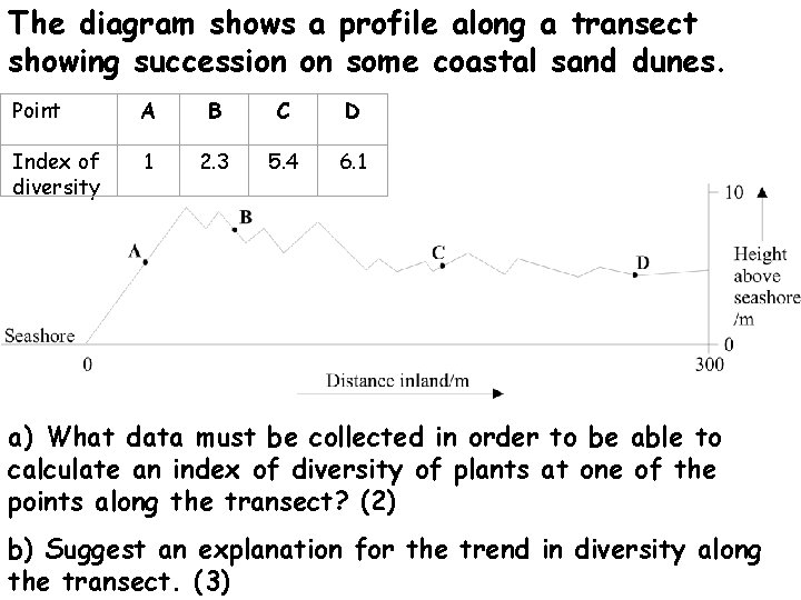 The diagram shows a profile along a transect showing succession on some coastal sand The diagram shows a profile along a transect showing succession on some coastal sand