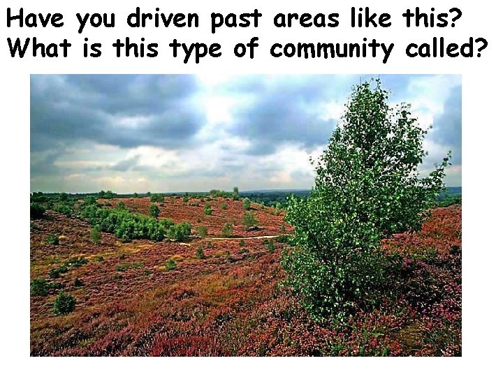 Have you driven past areas like this? What is this type of community called?