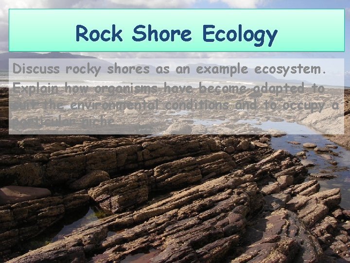 Rock Shore Ecology Discuss rocky shores as an example ecosystem. Explain how organisms have