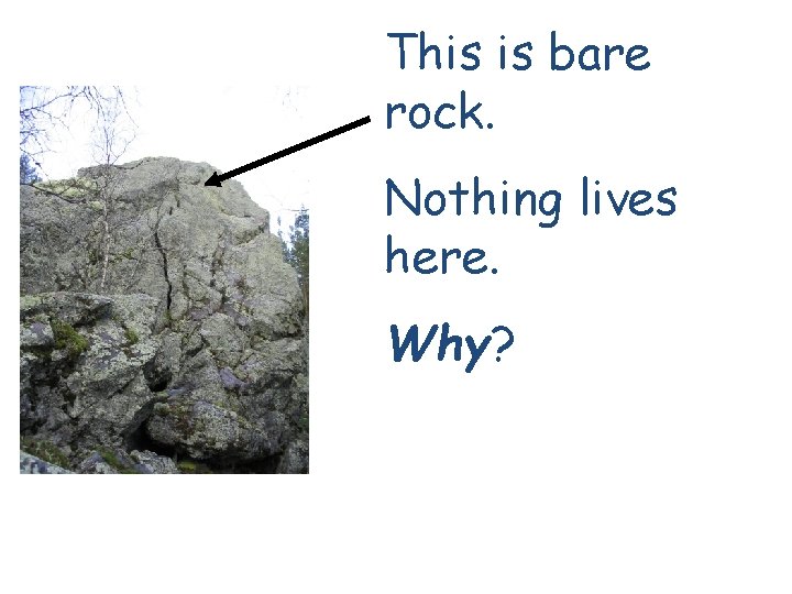 This is bare rock. Nothing lives here. Why? 